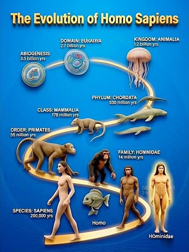How Humans Evolved Over Billions of Years