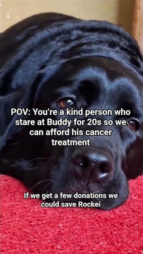 Pov: you stayed for 20s and donated for Buddy cancer surgery that is yet to happenHow do I tell