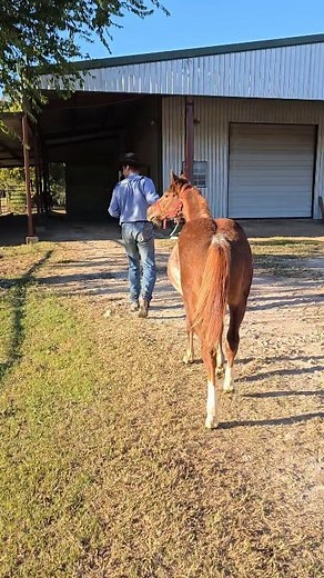 220K views · 8.3K reactions | The bad baby update you've all been waiting for...... except now I can post it here! #badbaby #thebadbabychronicles | Kaylin Maree Schimpf | Facebook