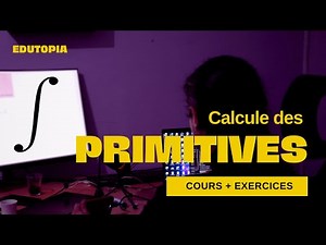 LES PRIMITIVES ( b tounsi ) [ Cours + Exercices ]