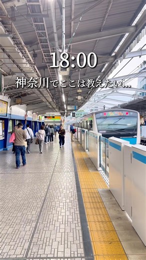 【横浜】関内から徒歩2分。海の幸、山の幸が豊富な大人の炉端居酒屋 #pr #横浜グルメ