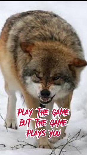 Understanding Cross Fox Therianthropy in TikTok Culture