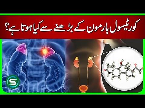 What Happens When Cortisol is High? | Effects of High Cortisol Levels on Body & Mind