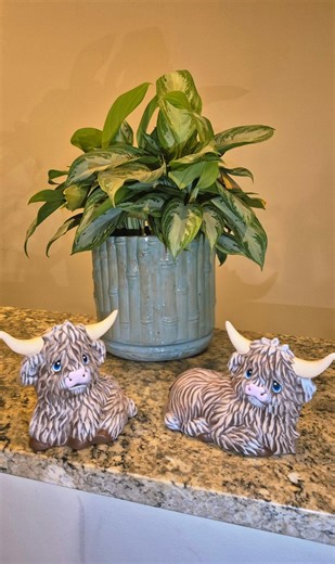 Highland Cow Set - Etsy