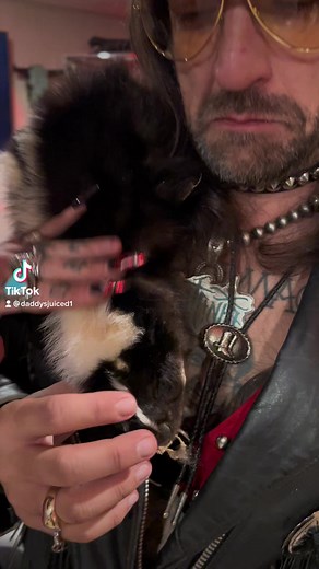 110K views · 517 reactions | Skunk skin the.real.satania | DaddysJuiced | Facebook