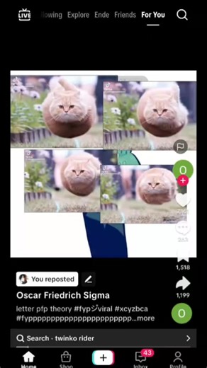 Understanding the Animator’s Audience