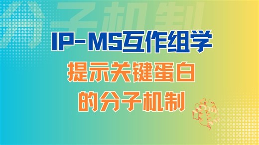 IP-MS互作组学提示关键蛋白的分子机制
