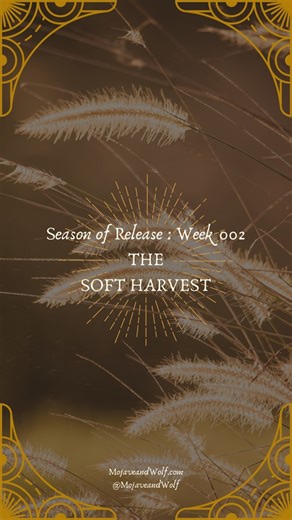 This week is the Soft Harvest. 🍯That quiet space between doing and being—where the work slows, and gratitude takes its place.Our ancestors knew this rhythm well.They dried their calendula, pulled the last of the honey,and thanked the bees for what sweetness remained.This week, the medicine is gentle:🌼 Calendula — to keep your warmth alive🍋 Citrine — to melt heaviness into gratitude🐝 Bee — to remind you that even small abundance is sacredNot every harvest is loud.Some are whispers.Some are tr