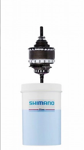 Internal gears lubrication - A quick guide on caring for Shimano Nexus hub #cyclingtips #bikerepair