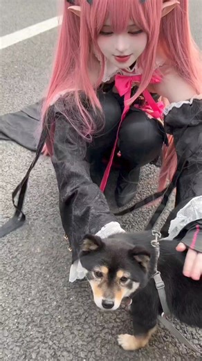 167K views · 4.6K reactions | 又来摸小狗狗了 #克鲁鲁采佩西 #cos #二次元 #五一漫展 #成都世界线 | Setup Cosplayer | Facebook