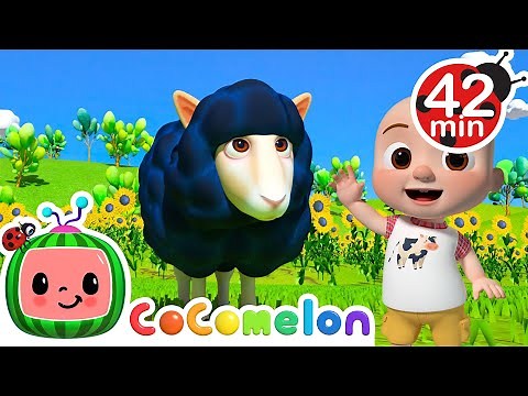 Baa Baa Black Sheep - CoComelon | Kids Cartoons & Nursery Rhymes | Moonbug Kids