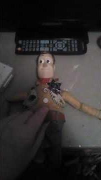 Custom Woody voice box.