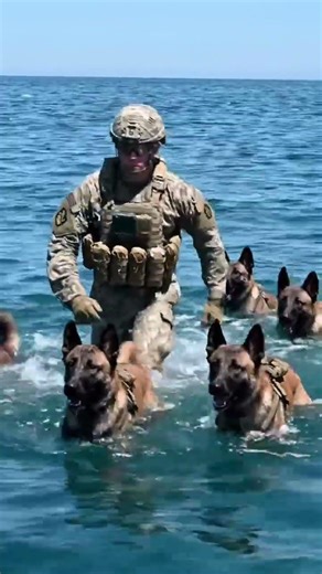 Elite Military K9 Ocean Training 🪖🐕🌊 | Fearless Army Dogs in Action
