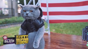 396K views · 721 reactions | Prince Michael of Aaron's Animals has got some moves! But so does his rival Phil... | Animal Planet | Facebook