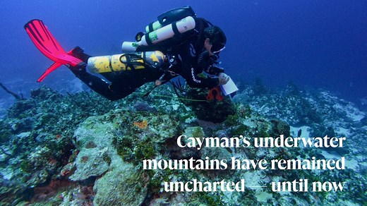 4.3K views · 28 reactions |  | Dotting Cayman’s sea floor are a...