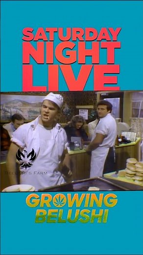No Coke, Pepsi Cheeseburger Cheeseburger #belushisfarm #snl #johnbelushi #danaykroyd