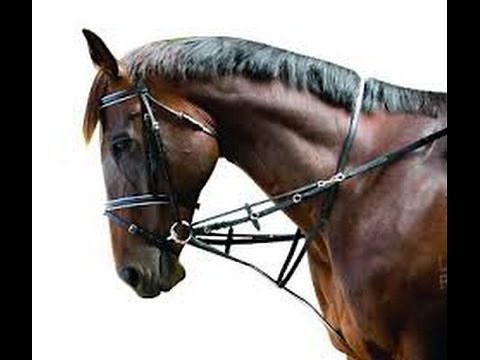 How and why to use the German Martingale
