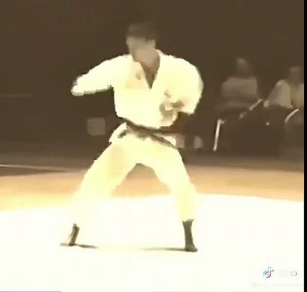 Kata Unsu en Shotokan Karate: Técnica y Pasión
