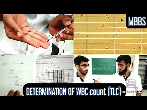 Determination of WBC count (TLC -Total leucocyte count) | MUHS | #mbbs #practical #hematology