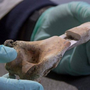 90K views · 127 reactions | In 1944, three WWII airmen disappeared beneath the waves. Can a team of forensic archaeologists and medical examiners identify them? "Last B-24" is streaming online now at: https://to.pbs.org/2QEkDRl | NOVA l PBS | Facebook