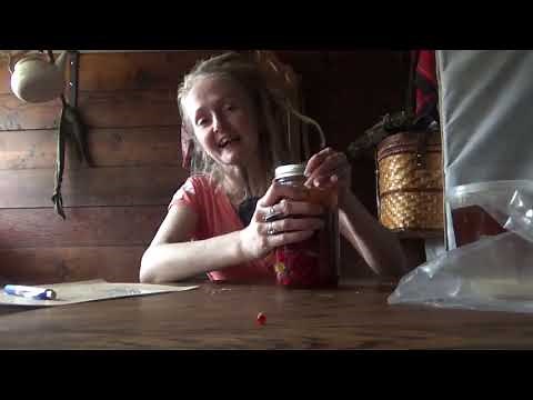 How to make a Hawthorn berry elixir!