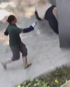 Angry Panda Attacks Female Zoo Worker