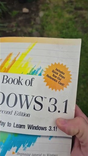 the first book of windows 3.1, second edition?