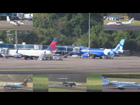 Argyle International: (01/02/2026) - Sunday Afternoon,Inter, Caribbean, American & JetBlue plus more