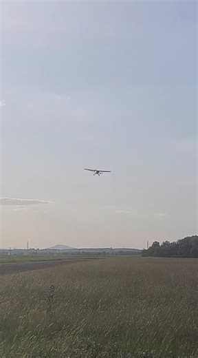 Avid Flyer mp4 nový vtačik doma