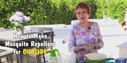 Queen of Clean: How to make mosquito repellent spray