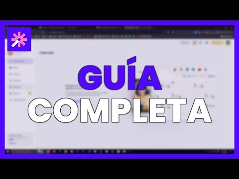 Complete Guide to Vizard AI: How to Create an Account, Connect Networks, and More