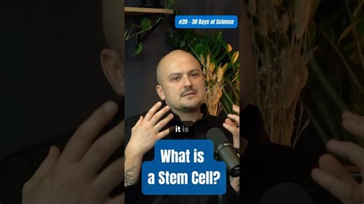 Tracking Brain Development with In Utero Electroporation