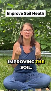 Wanna know how cover crops can improve your garden? They keep the soil in shape, lock in moisture, and boost soil life. 🌱 Don’t miss my latest YouTube video where I share all the details and the best ones to grow! #CoverCrops #GardeningTips #HealthySoil #gardening #gardeninspiration | Homegrown Florida
