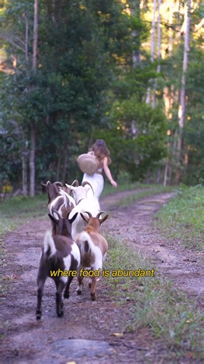 180K views · 7.2K reactions | The power of radical imagination  and...