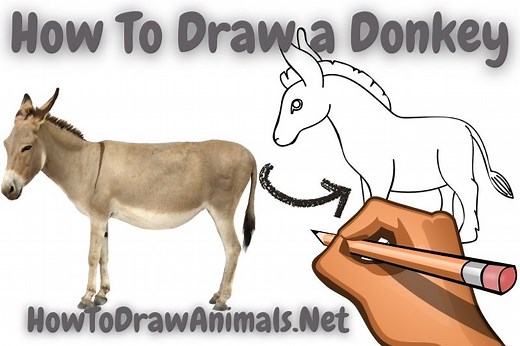 How To Draw a Donkey - EASY Drawing Tutorial!