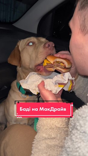 Рекомендовані акаунти