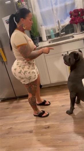 Yep he’s in trouble | Alpha Z Hoggz