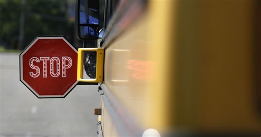 Florida man spends more fighting school bus camera ticket than the fine itself