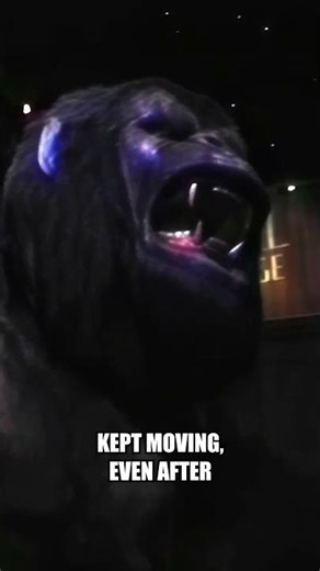 The Forgotten Universal Ride Guests Still Talk About