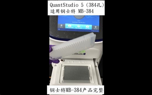 钢士特 MB-384适用 ABI QuantStudio 5（384孔模块)