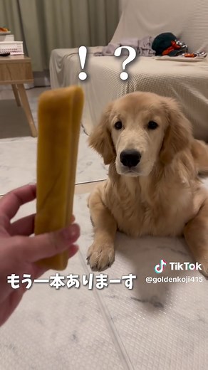 ヒマラヤチーズの楽しい時間と注意点