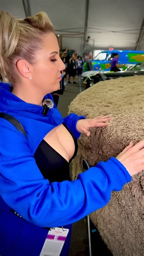 Stephanie | Cars & Las Vegas Lifestyle on Instagram: "Caption this video yourself lol  MUTT CUTS! #dumbanddumber @magnesiummedia #90smovies #muttcutts"