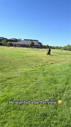 Right up top 🤣 (🎥:@royal_hew) | Barstool Sports Funny Moments
