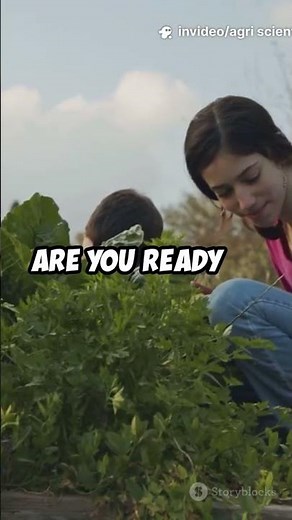 Pesticide Residues in Brazil: Laws, Environment & Sustainable Farming Challenges