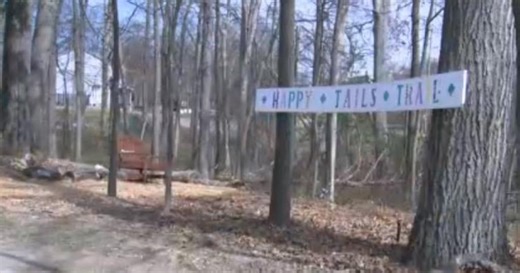 Senior Dog Sanctuary in Severn provides comfort, home for older dog