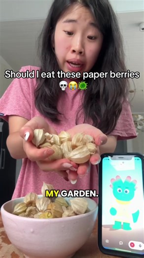 What Should I Do with These Paper Berries?