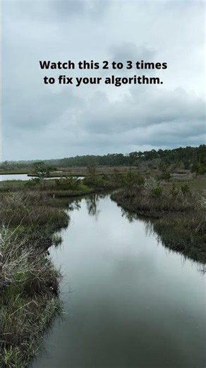 Reset your algorithm #nature #naturelovers #calm