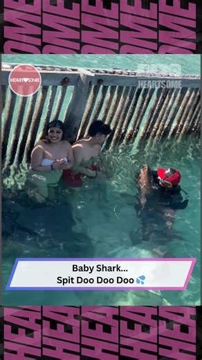 193K views · 466 reactions | Sweet Baby Shark Moment Takes a Hilarious Turn! 麗 #babyshark #funnyanimals #oceanencounter #wildlifehumor | Heartsome | Facebook