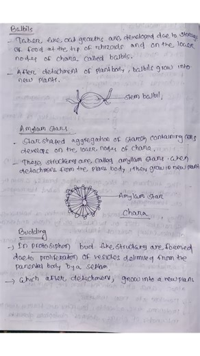 Algal Reproduction #shorts #shortvideo #youtubeshorts #ytshorts #biology #botany #lifescience #bio