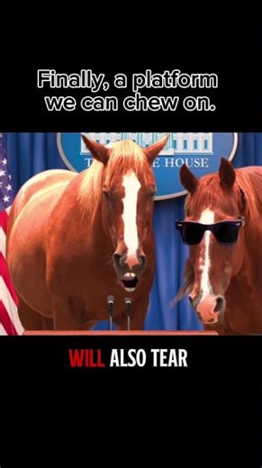 Barnyard Politics: Ranch Life Just Got Messy #horse